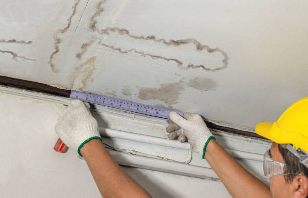 Reliable Basement Water Removal contractor in East Ellijay, GA by Water Damage Irwin